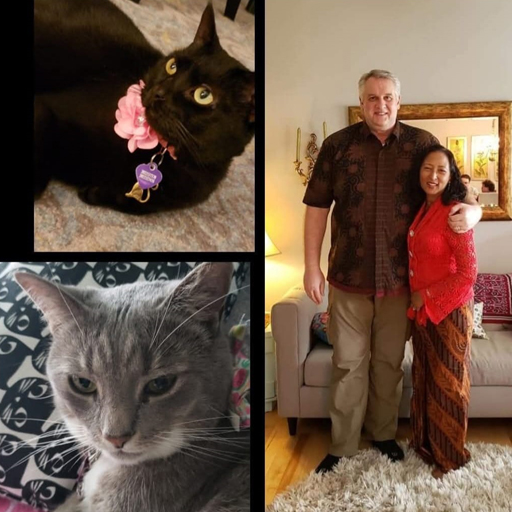 Pixie, Arya, Tony and Farah